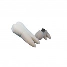 Tooth USB Flashdrives